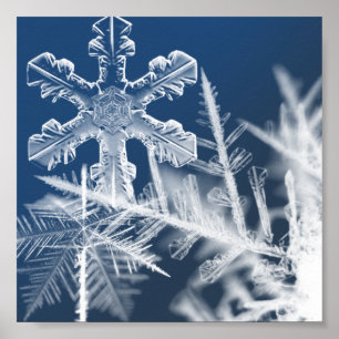sneeuwkristallen poster