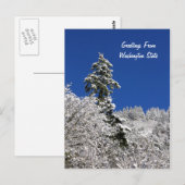 Sneeuwkruimelroetjes uit Washington Briefkaart (Voorkant / Achterkant)