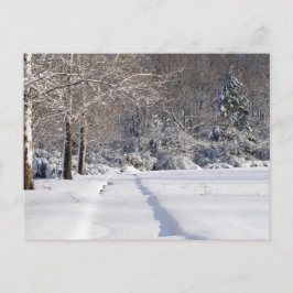 Sneeuwlandschap. Een seizoensgebonden Briefkaart. Feestdagenkaart