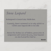 Sneeuwleopard-kaart Briefkaart (Achterkant)