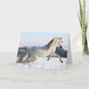 sneeuwloper feestdagen kaart