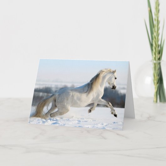 sneeuwloper feestdagen kaart (Voorkant)