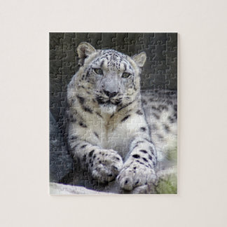 sneeuwluipaard 27 legpuzzel