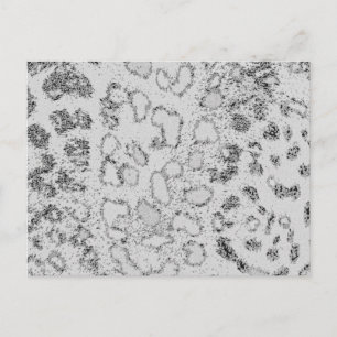 Sneeuwluipaard Briefkaart