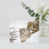 Sneeuwluipaard in de sneeuw briefkaart (Staand voorkant)