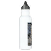 Sneeuwluipaard na ogen waterfles  (Links)