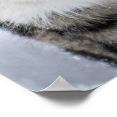 Sneeuwluipaard op de hendel poster (Hoek)