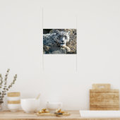 Sneeuwluipaard Poster (Keuken)