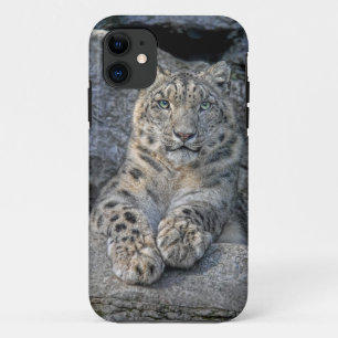Sneeuwluipaard schoonheid (beide poten vooraan) iPhone 11 hoesje
