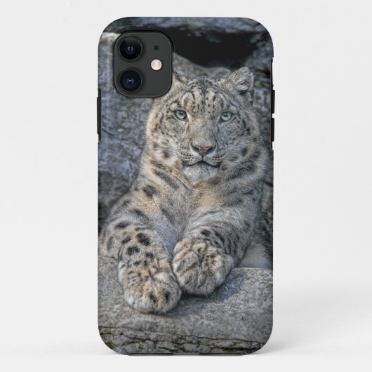 Sneeuwluipaard schoonheid (beide poten vooraan) Case-Mate iPhone case (Achterkant)