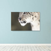 Sneeuwluipaard (Uncia uncia) 2 Canvas Afdruk (Insitu (Houten vloer))