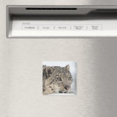 Sneeuwluipaard (Uncia uncia) 2 Magneet (Insitu (Vaatwasser))