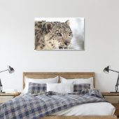 Sneeuwluipaard (Uncia uncia) Canvas Afdruk (Insitu (Slaapkamer))