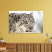 Sneeuwluipaard (Uncia uncia) Canvas Afdruk (Insitu (Woonkamer))