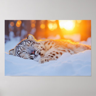 Sneeuwluipaard Wild Dier Natuurlijke Omgeving Poster