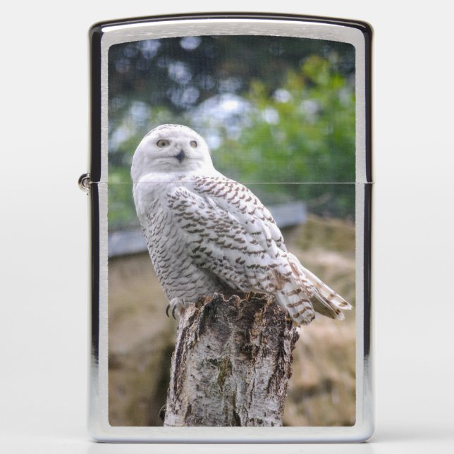 Sneeuwowl... (Voorkant)