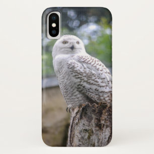 Sneeuwowl iPhone X Hoesje