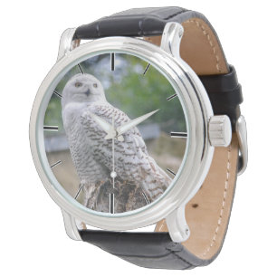 Sneeuwowl Horloge
