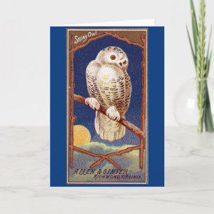 sneeuwowl illustratie kaart