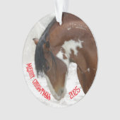 Sneeuwpaard Kerst Acryl Ornament (voorkant)