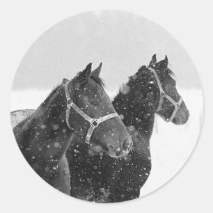 Sneeuwpaarden Ronde Sticker
