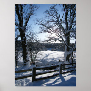 Sneeuwpad Poster