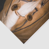 Sneeuwpalominopaard Tissuepapier (Detail)