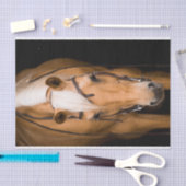 Sneeuwpalominopaard Tissuepapier (Craft)