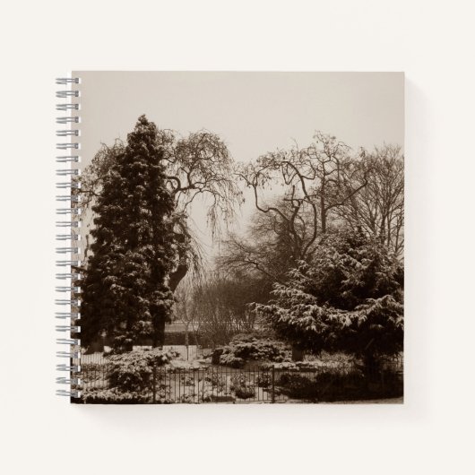 sneeuwpark en bomen in de winter notitieboek (Voorkant)