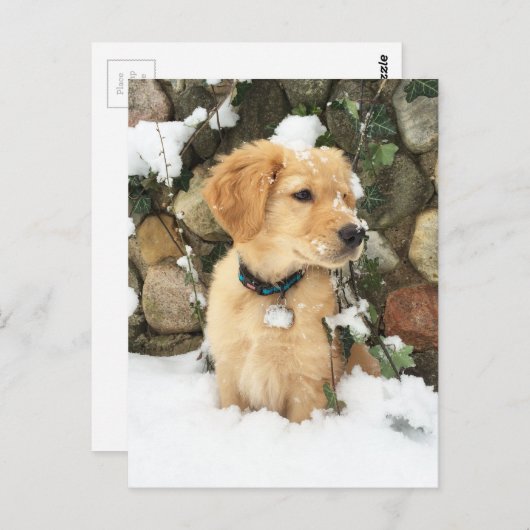 sneeuwpop briefkaart (Voorkant / Achterkant)