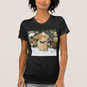 Sneeuwpop, gouden pup in sneeuw t-shirt