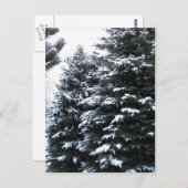 Sneeuwprik Briefkaart (Voorkant / Achterkant)