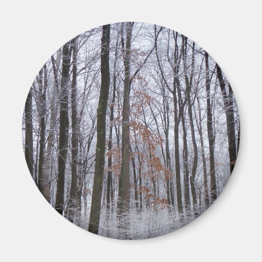 sneeuwpuinfotografie winterlandschap magneet (Voorkant)
