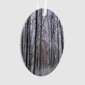 sneeuwpuinfotografie winterlandschap ornament (voorkant)