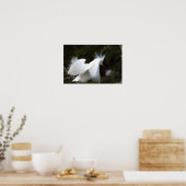 Sneeuwreiger Poster (Keuken)
