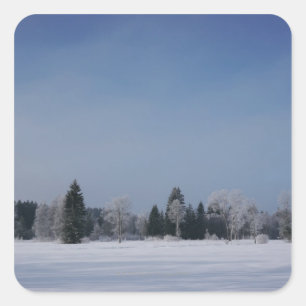 Sneeuwrijk koud winterlandschap 12 vierkante sticker