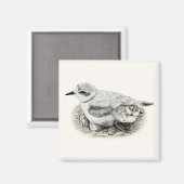 Sneeuwrijke Plover met Chick and Eggs Magnet Magneet (Voorkant / Achterkant)