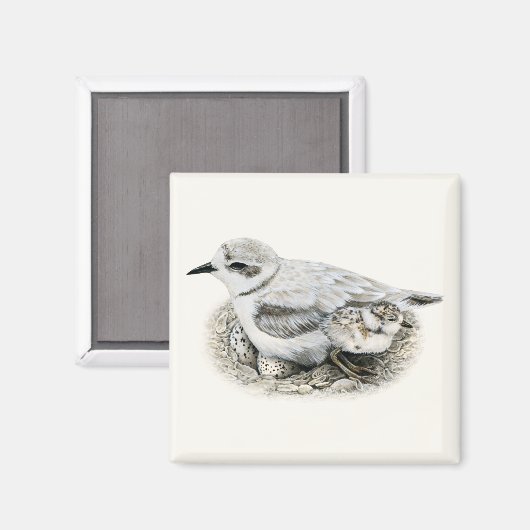 Sneeuwrijke Plover met Chick and Eggs Magnet Magneet (Voorkant / Achterkant)