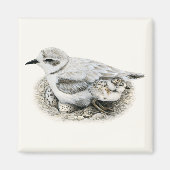 Sneeuwrijke Plover met Chick and Eggs Magnet Magneet (Voorkant)