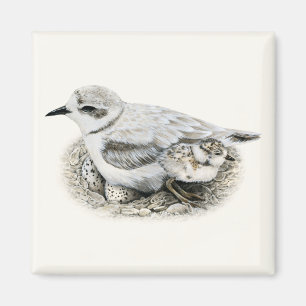 Sneeuwrijke Plover met Chick and Eggs Magnet Magneet