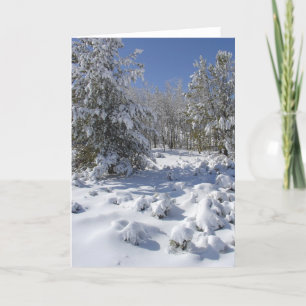 Sneeuwrijke Winter Bos Wenskaart Feestdagen Kaart