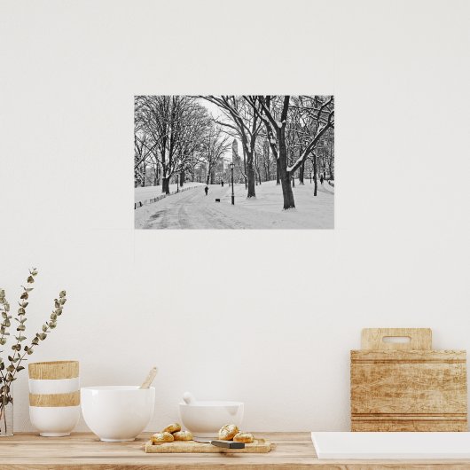 Sneeuwrol in Central Park Poster (Keuken)