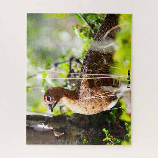 Sneeuwruimer Legpuzzel (Verticaal)