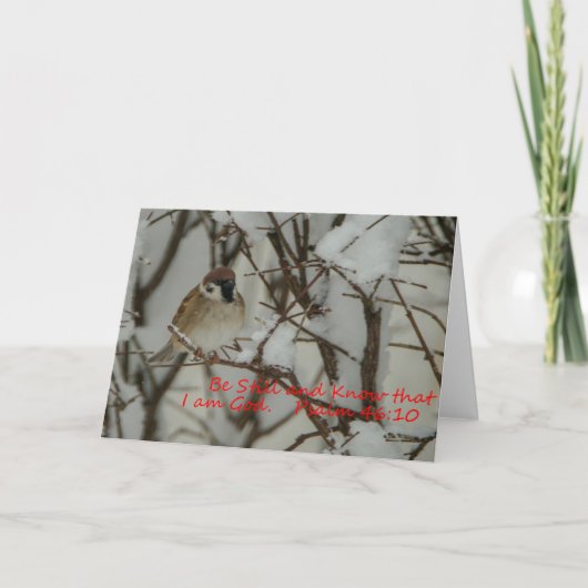 Sneeuwscène en scripts kaart (Voorkant)