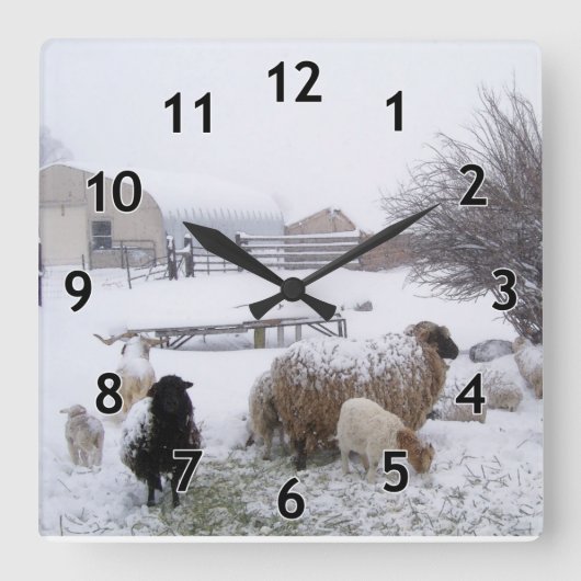sneeuwschaap vierkante klok (Voorkant)