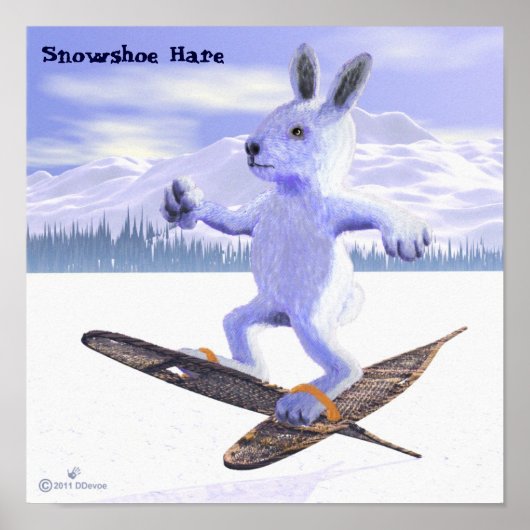 Sneeuwschoehaas Poster (Voorkant)