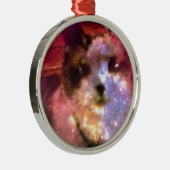 sneeuwschoen aurora borealis kat metalen ornament (Rechts)