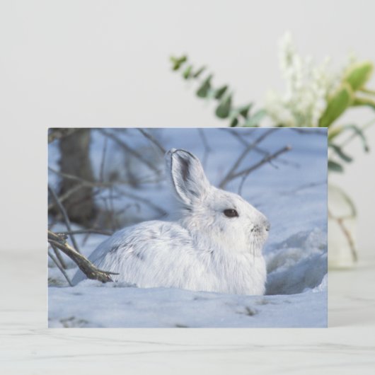 Sneeuwschoen Haas Rust in Sneeuw Feestdagenkaart (Staand voorkant)