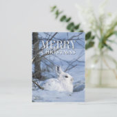 Sneeuwschoen Haas Rust in Sneeuw Feestdagenkaart (Staand voorkant)