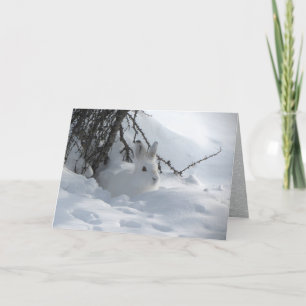 Sneeuwschoenhazen onder struik in sneeuw feestdagen kaart